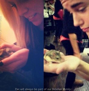 Victoria Blair, Justin Bieber, PAC the hamster Victoria Blair, Justin Bieber, PAC the hamster