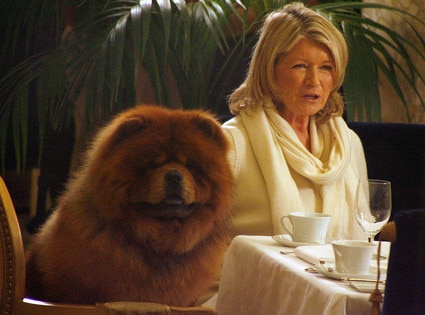 Martha Stewart, Genghis Khan