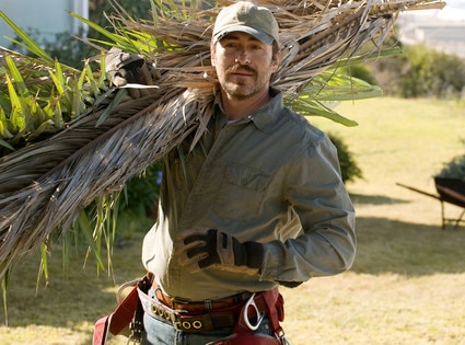 Demian Bichir, A Better Life
