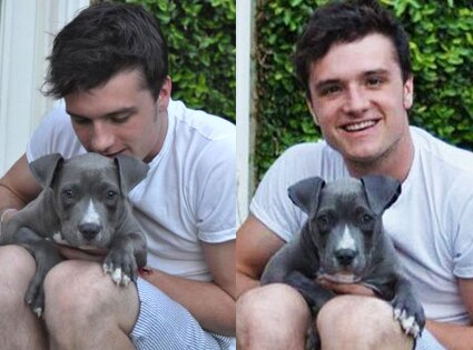 Josh Hutcherson, Puppy