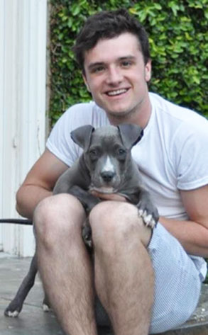 Josh Hutcherson, Dog
