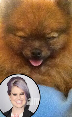 Story, Kelly Osbourne