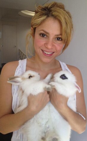 Shakira, Twitter Shakira, Twitter