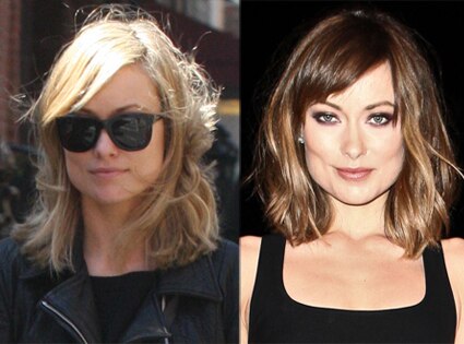 Olivia Wilde