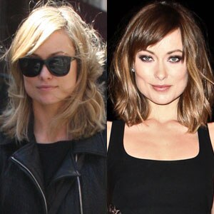 Blonde or Brunette?