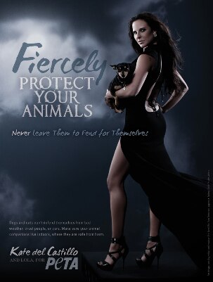 Kate Del Castillo, Peta