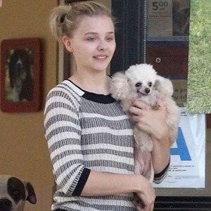 Chloe Moretz, Trevor Moretz, Dogs