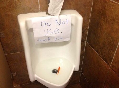 Goldfish Urinal Soup X2