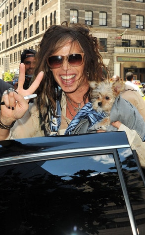 Steven Tyler Steven Tyler