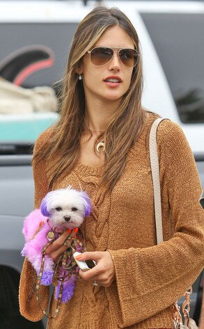 Alessandra Ambrosio