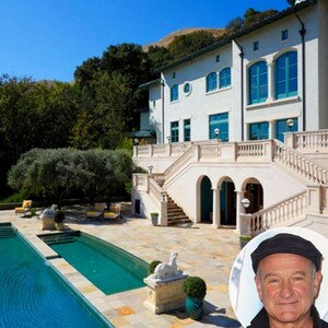 Robin Williams, Napa Valley Vineyard
