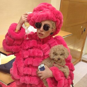 Lady Gaga