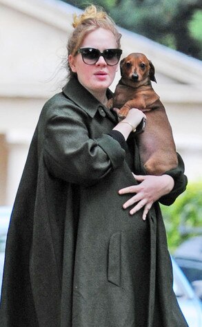 Adele