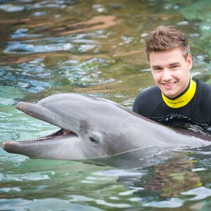 Liam Payne