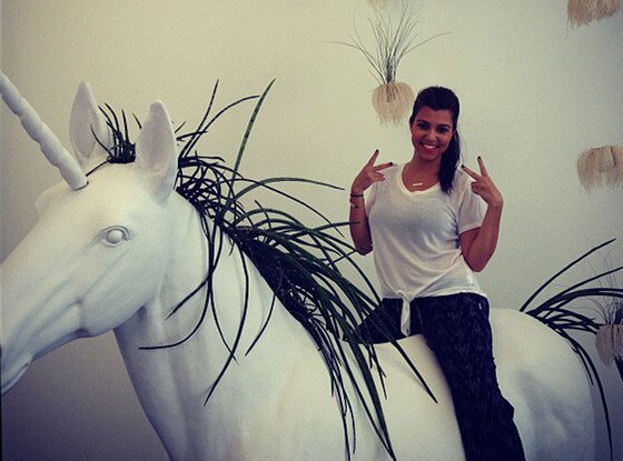 Keeping Up With The Kardashians, Twit Pic