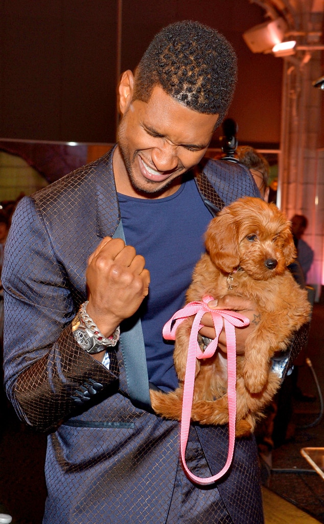 Usher, Puppy Usher, Puppy