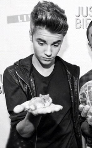 Justin Bieber, Hamster