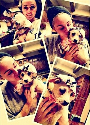 Miley Cyrus