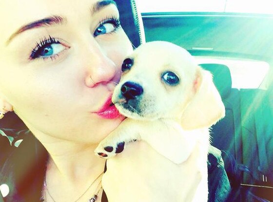 Miley Cyrus, Bean