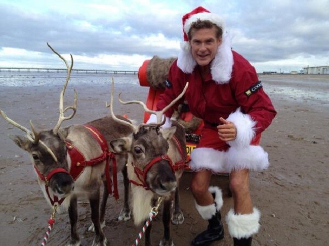 David Hasselhoff David Hasselhoff