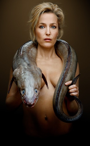 Gillian Anderson, Fishlove Gillian Anderson, Fishlove