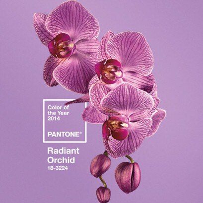 Pantone Pantone