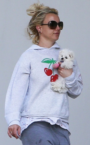 Britney Spears, Puppy