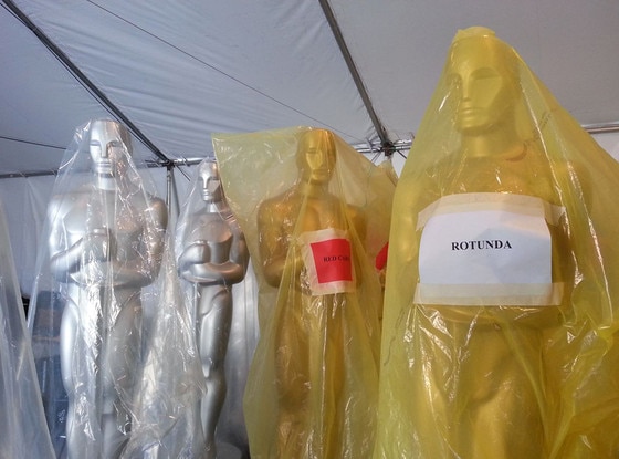 Oscar All Access