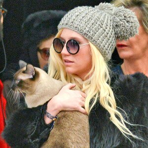 Kesha, Cat