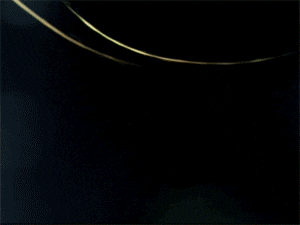 Oscars GIF