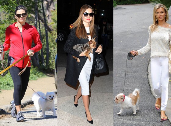 Miranda Kerr, Jenna Dewan Tatums, Joanna Krupa, Dog