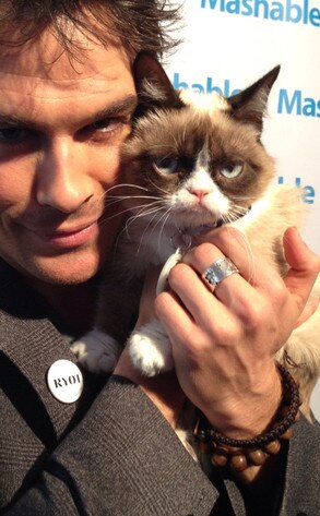Ian Somerhalder, Grumpy Cat, Twit Pic Ian Somerhalder, Grumpy Cat, Twit Pic