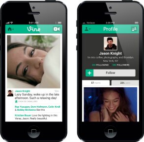 Vine top Vine top
