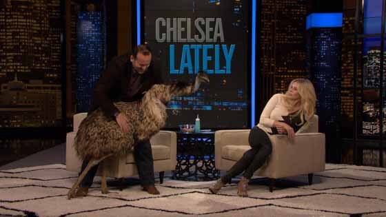 Chelsea Lately Guests