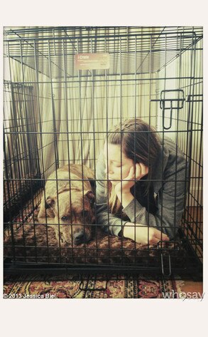 Jessica Biel, WhoSay Jessica Biel, WhoSay