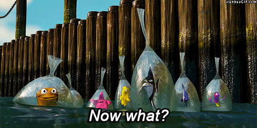 Finding Nemo GIFs Finding Nemo GIFs