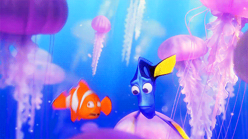 Finding Nemo GIFs Finding Nemo GIFs
