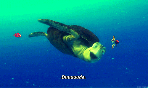 Finding Nemo GIFs Finding Nemo GIFs