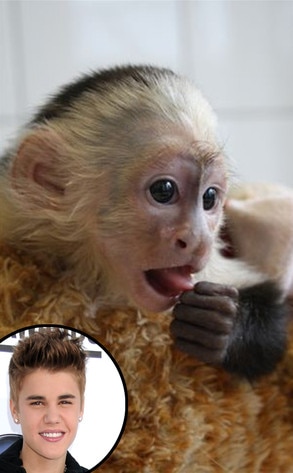 Justin Bieber, Mally, Monkey