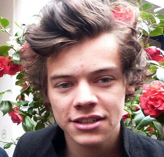 Harry Styles, Twitter, Instagram Harry Styles, Twitter, Instagram