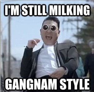 gangnam psy gangnam psy