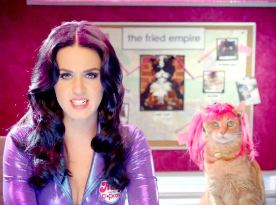 Katy Perry, Pop Chips Katy Perry, Pop Chips
