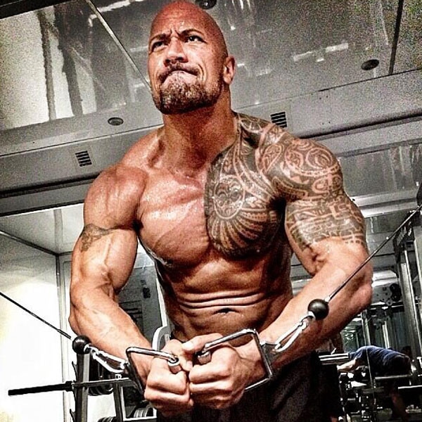 Dwayne The Rock Johnson Dwayne The Rock Johnson
