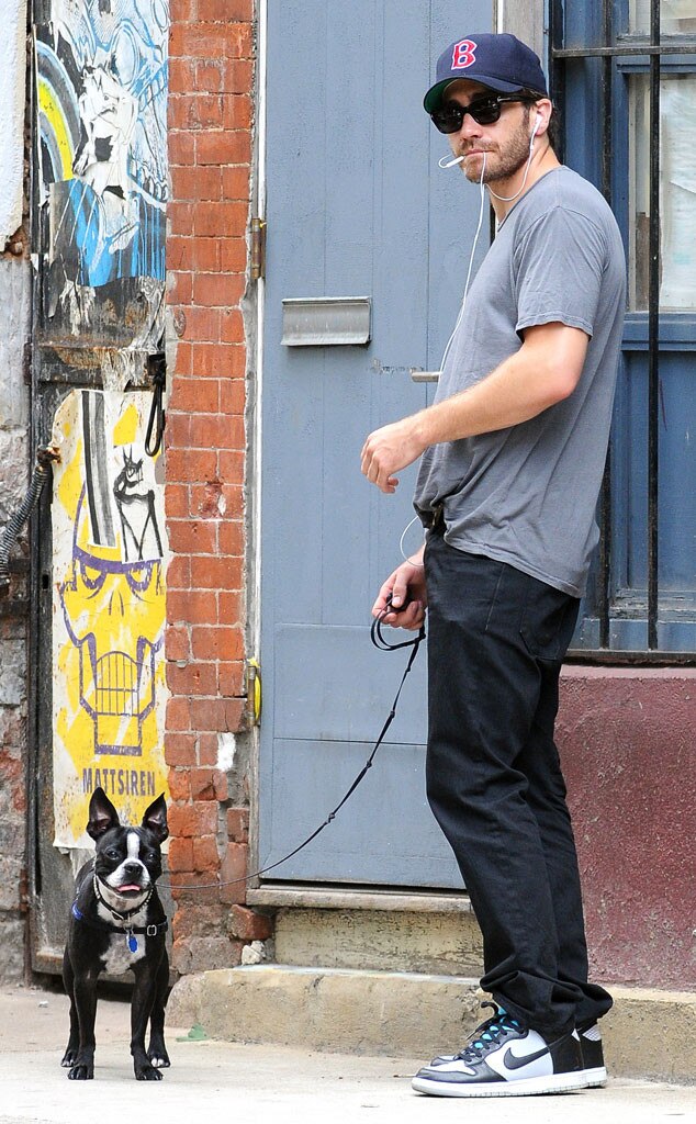 Jake Gyllenhaal Jake Gyllenhaal