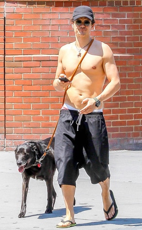 Orlando Bloom, Flynn, Dog Orlando Bloom, Flynn, Dog