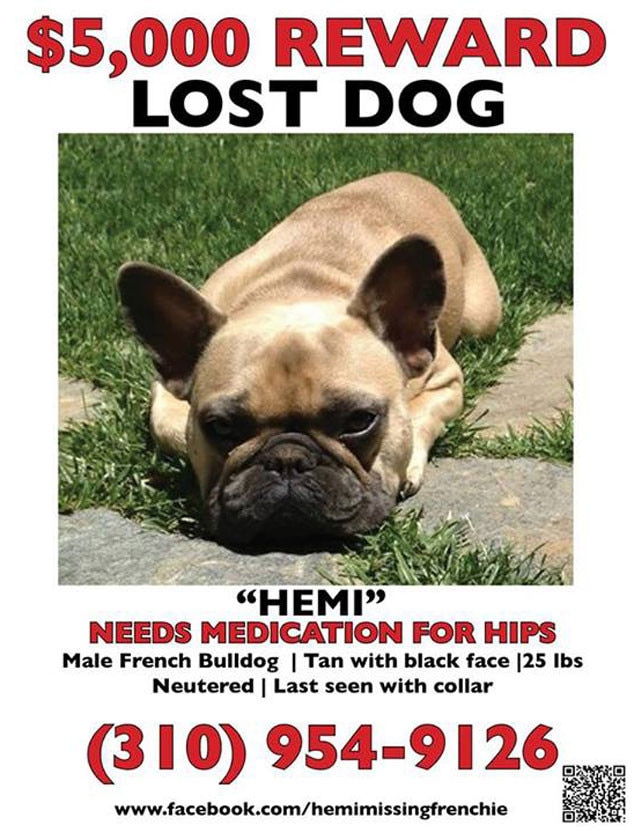 Jeremy Renner, Dog Hemi Jeremy Renner, Dog Hemi