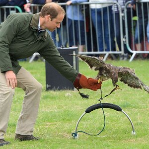 Prince William Prince William