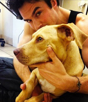 Ian Somerhalder Ian Somerhalder