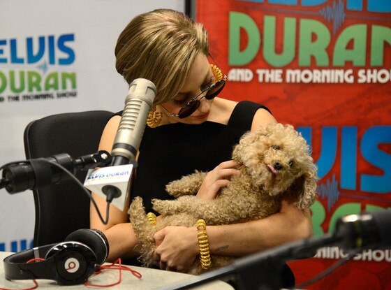 Lady Gaga, Fozzy Lady Gaga, Fozzy