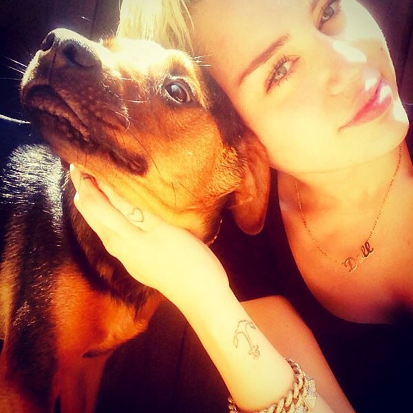 Las 'Sexy Selfies' de Miley Cyrus